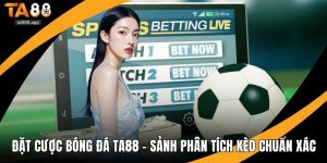 Đặt cược bóng đá Ta88